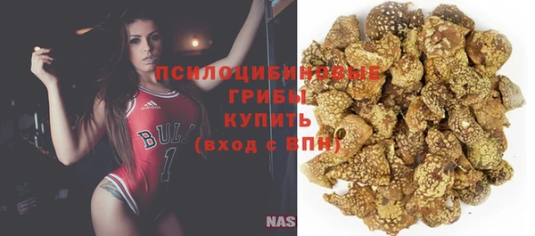 соль курить ск Няндома