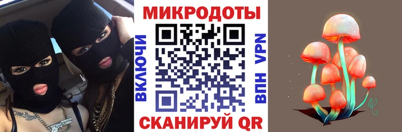 Псилоцибиновые грибы прущие грибы Пионерский
